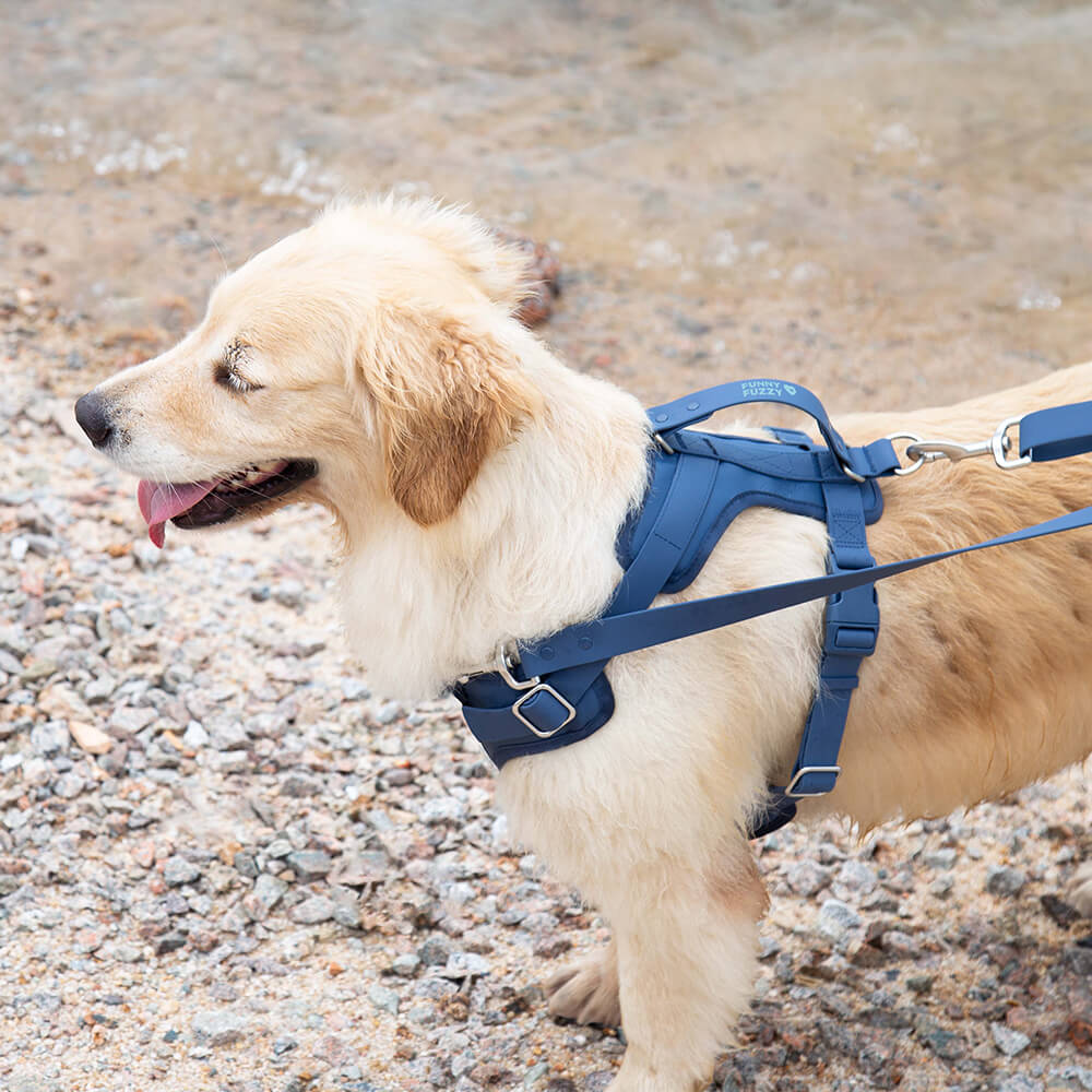 Arnés para perros gomosos