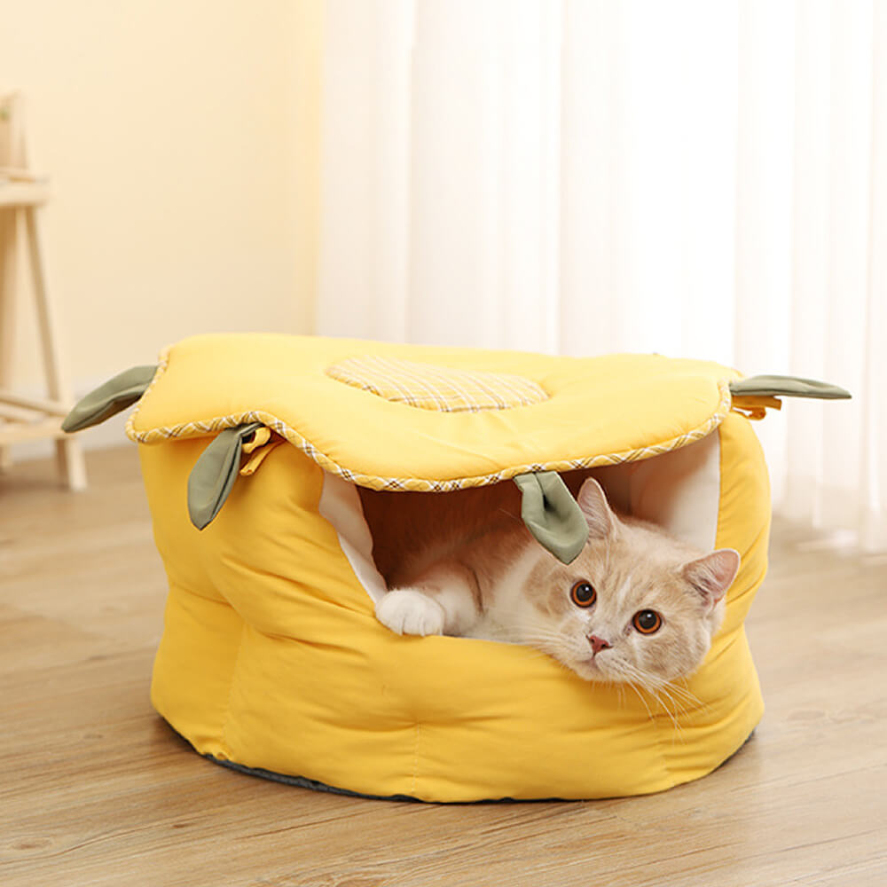 Banana cat cave best sale