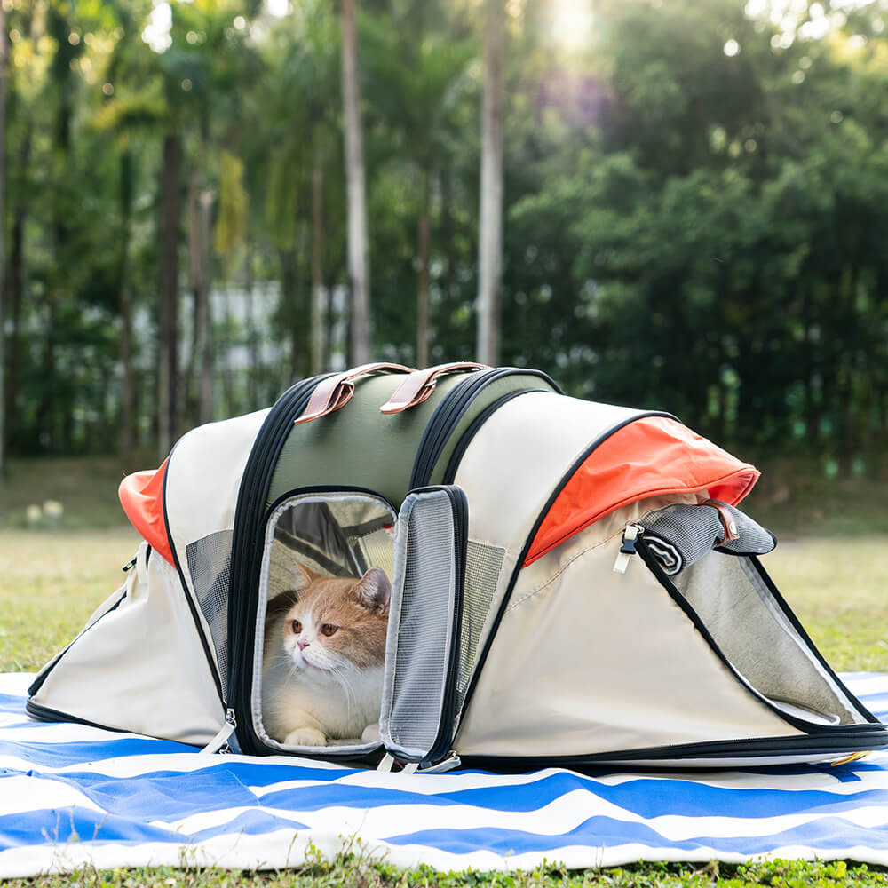 Transformers Pro Tente de camping de voyage Sac à dos pour chat