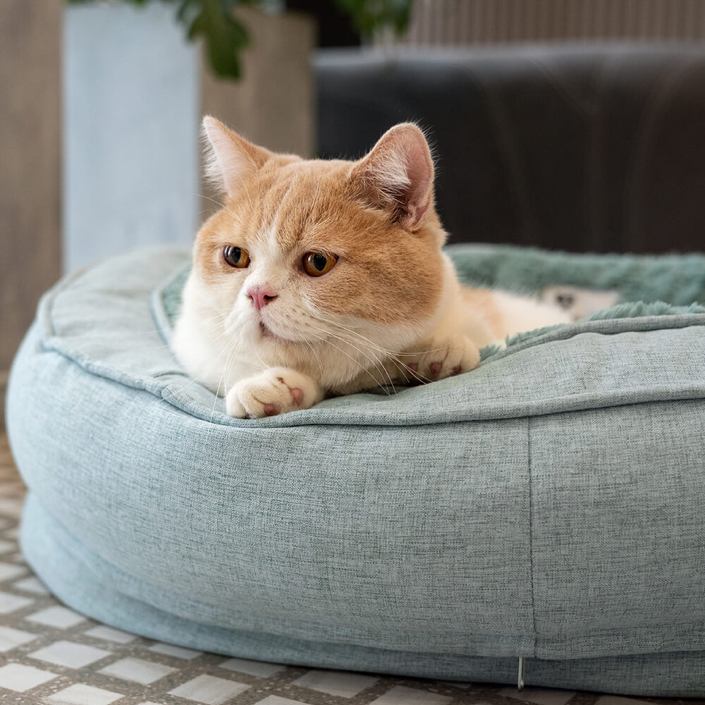 Cama ortopédica para perros Donut