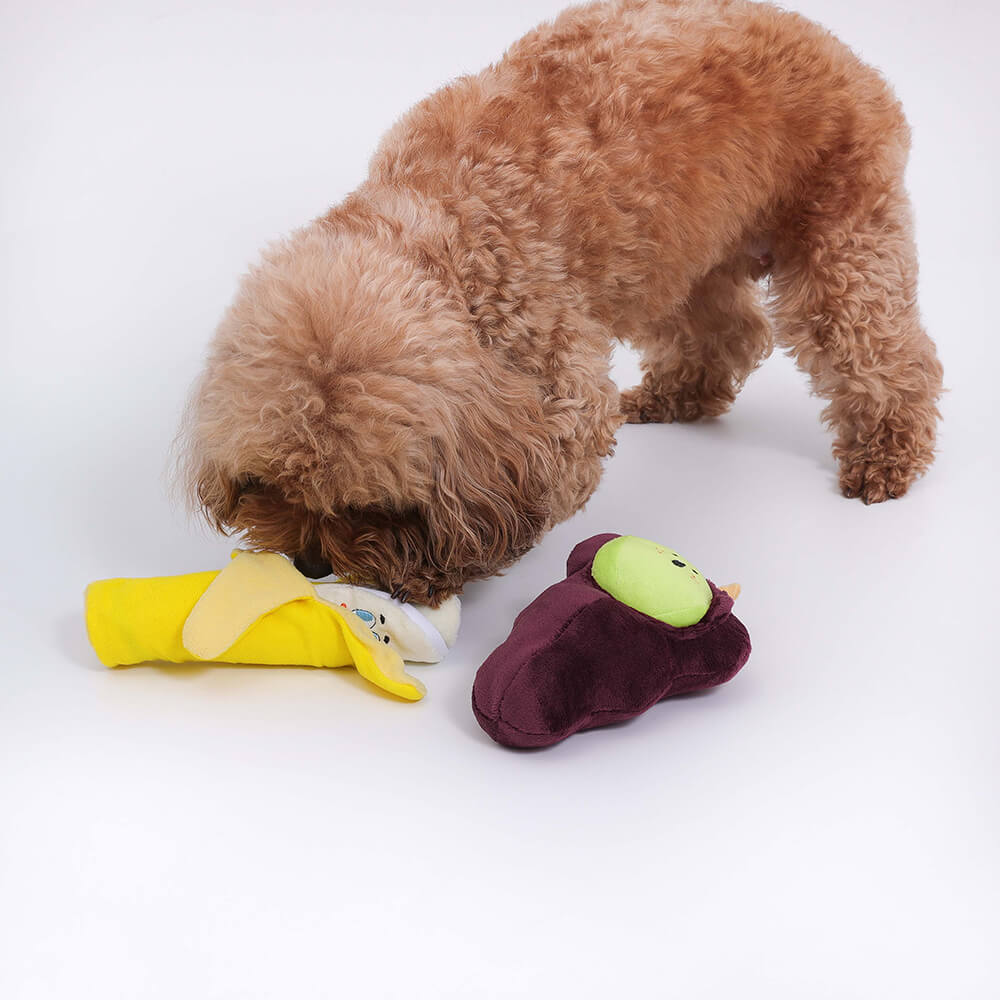 Ensemble de panier-cadeau de jouets pour chiens | Des friandises en peluche à mâcher grinçantes, des jouets interactifs