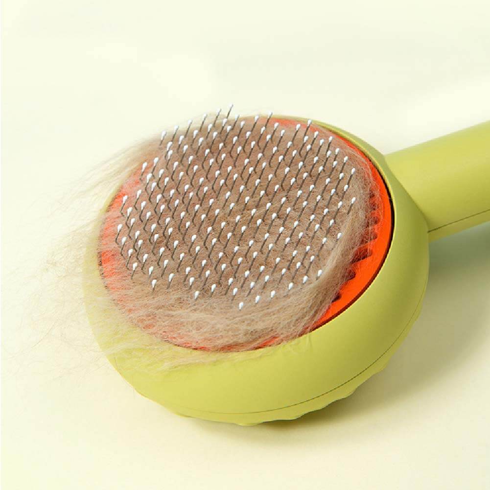 Brosse pour animaux - Donut