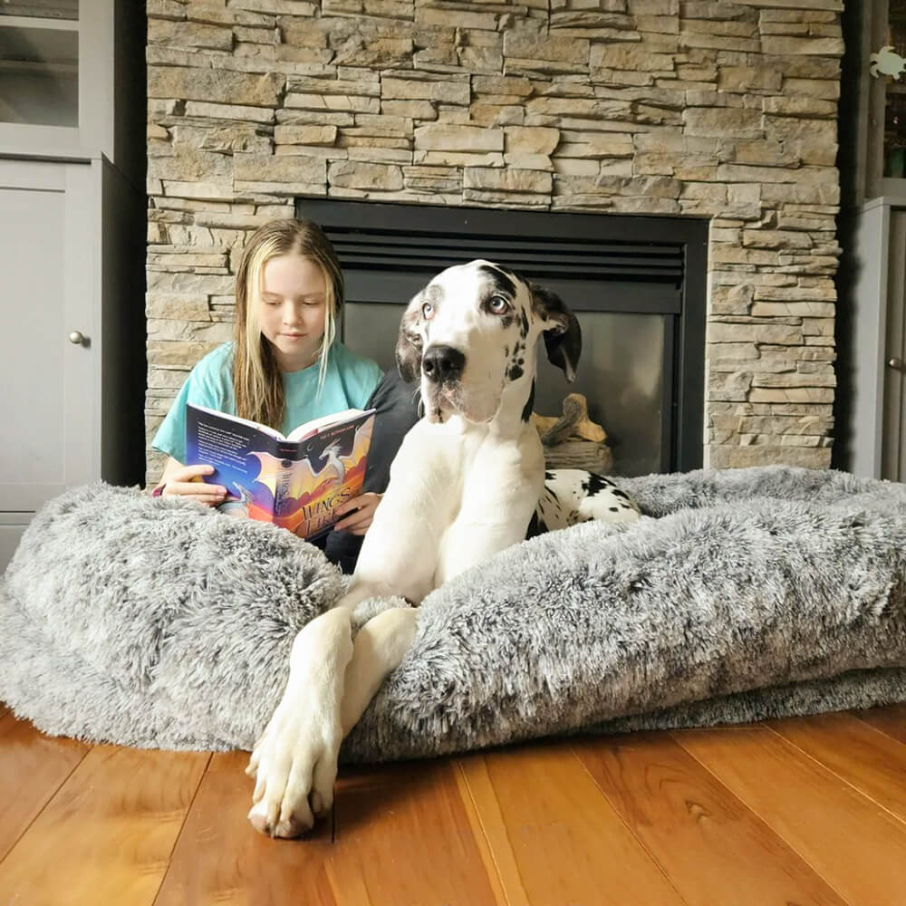 Orthopädisches Hundebett Donut