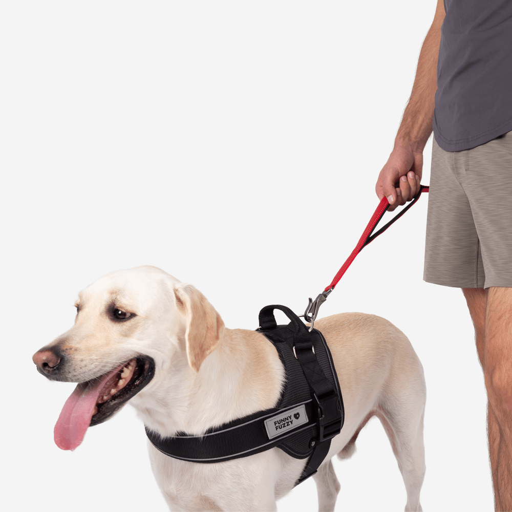 Sport Dog Walk Set | Multifunction Hands Free Dog Leash And No Pull Dog Harness